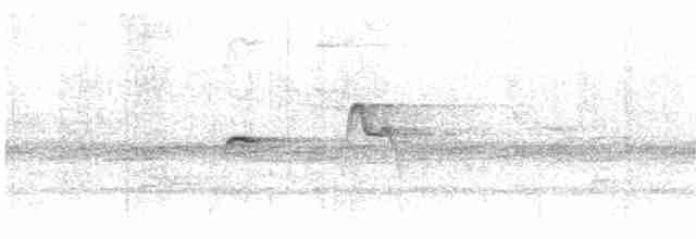 Антильский пиви (latirostris) - ML614015640