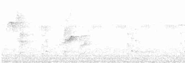 Ticotico Ojiblanco - ML614015951
