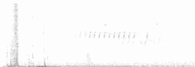 Pine Warbler - ML614016463