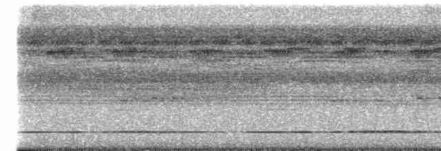 Great Tinamou - ML614020328