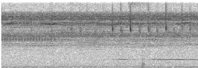 Great Tinamou - ML614020340
