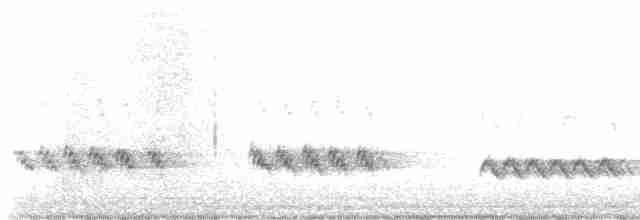 Northern Mockingbird - ML614020384