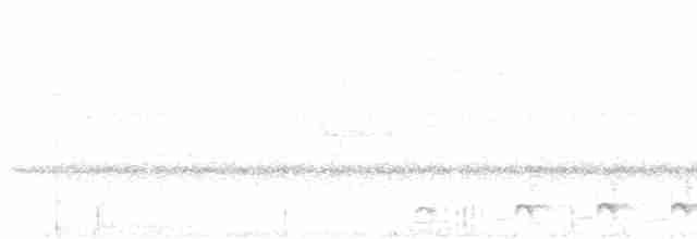 Great Antshrike - ML614020495