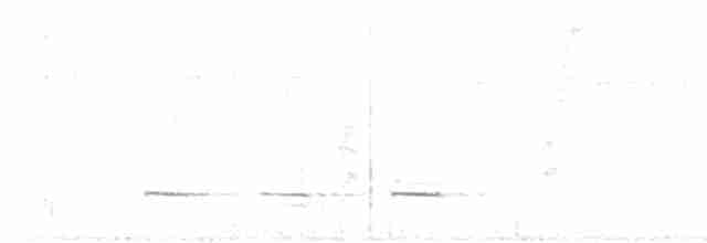 svartstrupemaurrikse - ML614020510