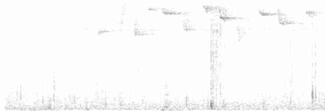 Turuncu Gagalı Çalı Serçesi - ML614020582