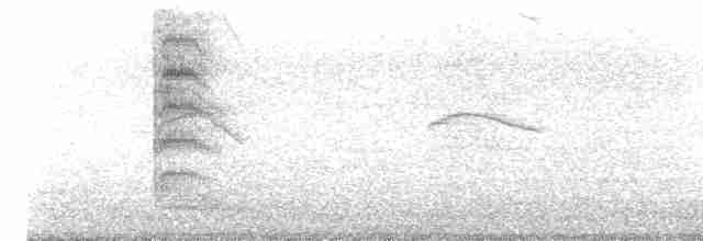 Avustralya Martısı (scopulinus) - ML614026874