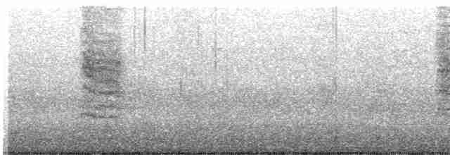 Gray Catbird - ML614026906