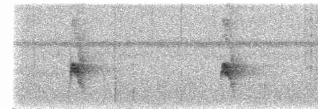 Grauscheitel-Ameisenvogel - ML614028051