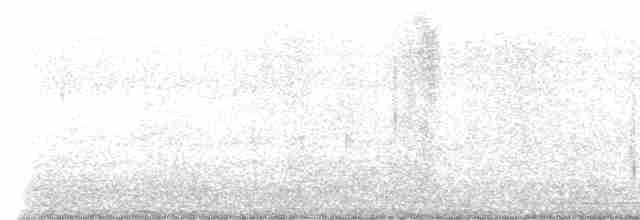 Зозуля білогорла - ML614028162