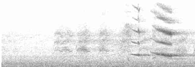 Flötenkrähenstar (telonocua/tyrannica) - ML614028570
