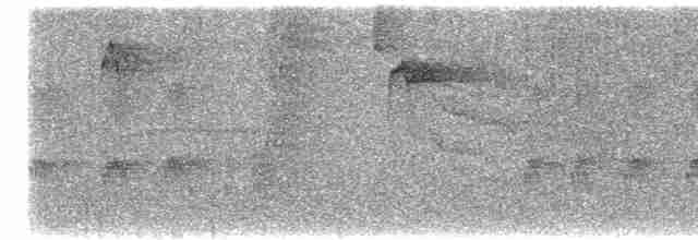 Тиранчик-чубань західний - ML614028608