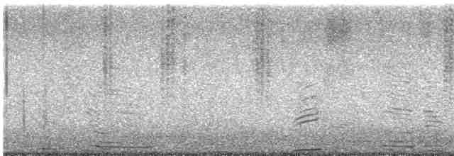 Geniş Gagalı Kolibri - ML614030472
