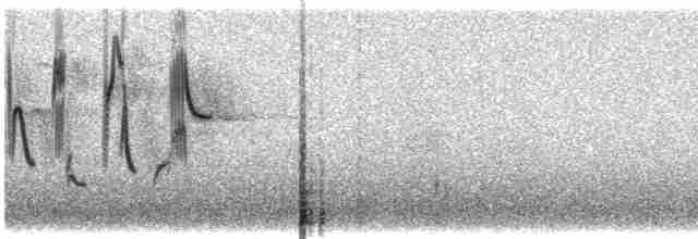 Патагонский конёк - ML614035868