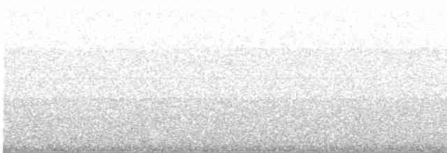 Perija Thistletail - ML614036015