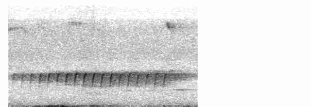 Королаз плямистобокий [група leucophaea] - ML614037600