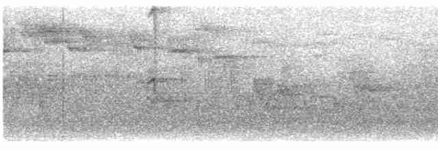 Исполинский колибри - ML614037826
