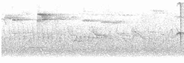 Исполинский колибри - ML614037827