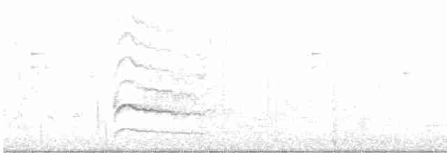 Дятел-смоктун білочеревий - ML614038514