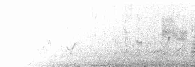 裏海燕鷗 - ML614038699