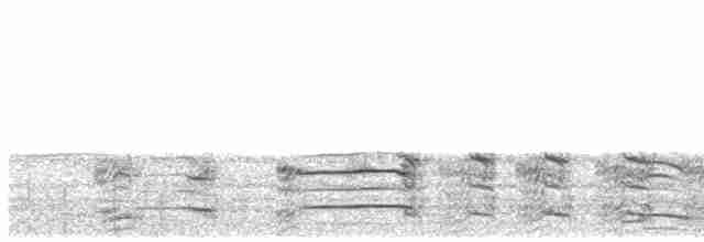 racek žlutonohý (ssp. intermedius) - ML614039212