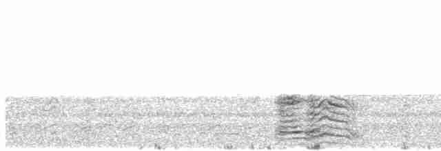 racek žlutonohý (ssp. intermedius) - ML614040047