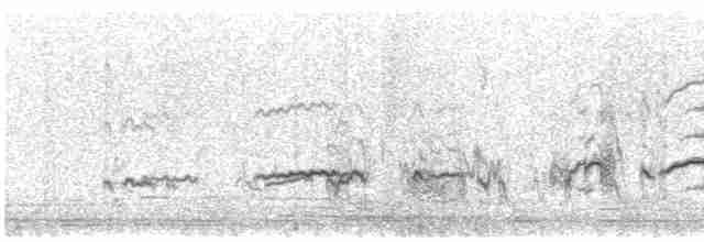 太平洋金斑鴴 - ML614040567