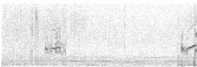 太平洋金斑鴴 - ML614040574