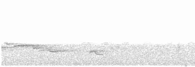 נקר לבן-גב (אירואסייתי) - ML614040691