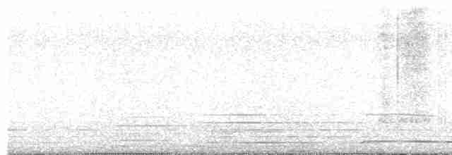 Urubi arrunta - ML614041408
