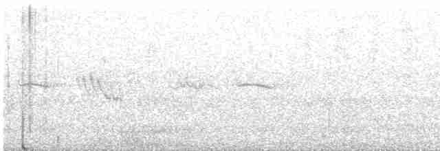 kakadu černý - ML614042516