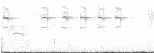 Isabellstreifen-Meisenschlüpfer - ML614048940