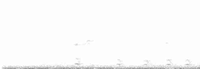 Malabar Gray Hornbill - ML614048983