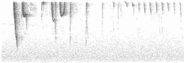 busktanagarspurv (flavopectus gr.) - ML614050942
