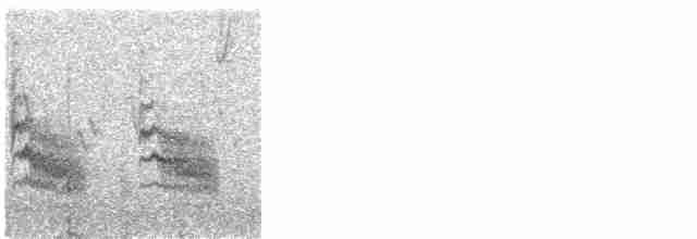 Травяной крапивник (aequatorialis) - ML614053435
