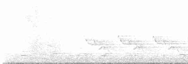 Karolina Çıtkuşu - ML614054349