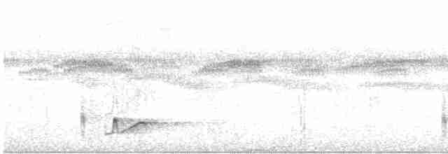 Длинноклювый крапивник - ML614054793