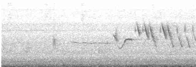 Porsuk Serçesi (pugetensis) - ML614056028