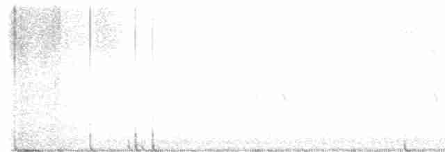 Шишкар ялиновий - ML614057180