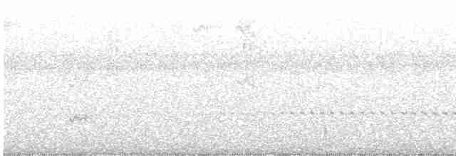 Benekli Notura Tinamusu - ML614060600