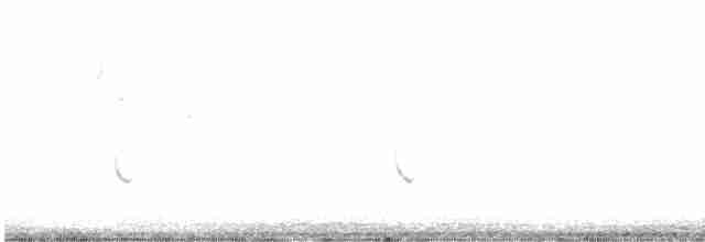 White-tailed Kite - ML614062693