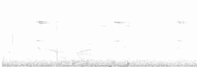 Тёмный крапивник - ML614063665