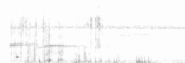 Stummelschwanz-Ameisenvogel - ML614066678