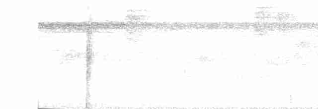 Çıplak Alınlı Karıncakuşu - ML614073318