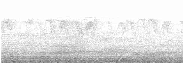 gråhakemønjefugl (solaris gr.) - ML614074213