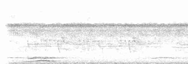 holub černošíjný - ML614081251