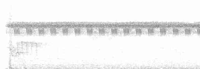Зондский дронго (vicinus) - ML614081263