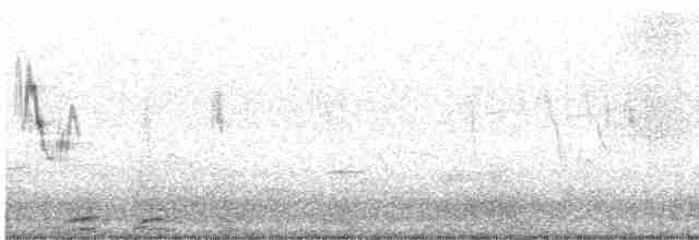 White Wagtail - ML614086318