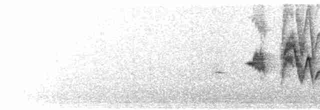 Горихвістка короткокрила - ML614087381