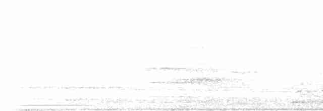 Тиран сірий - ML614088134