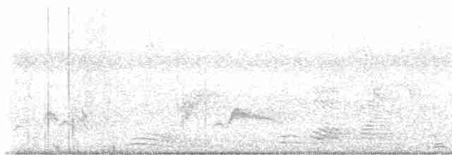 Коструба плямистокрила - ML614089404
